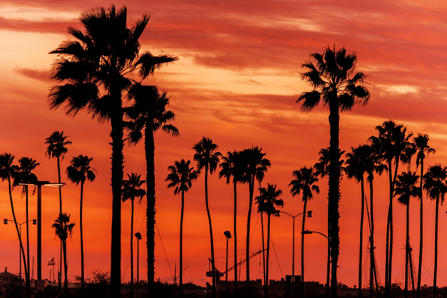 CALIFORNIA-MOVERS