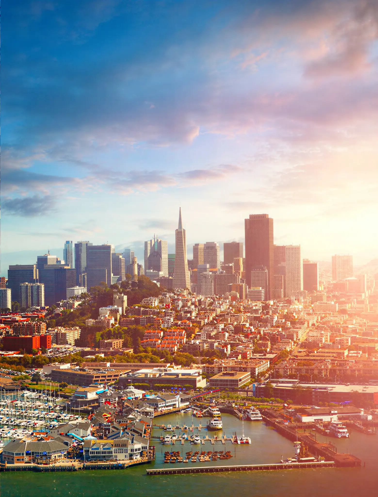 SAN FRANCISCO BAY AREA MOVING COMPANY
